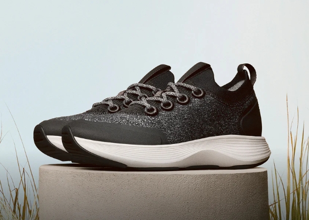 הנסיעות שלי עם allbirds נעליים